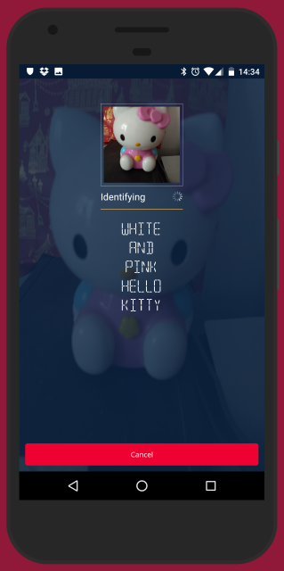 Как должна работать программа для распознавания