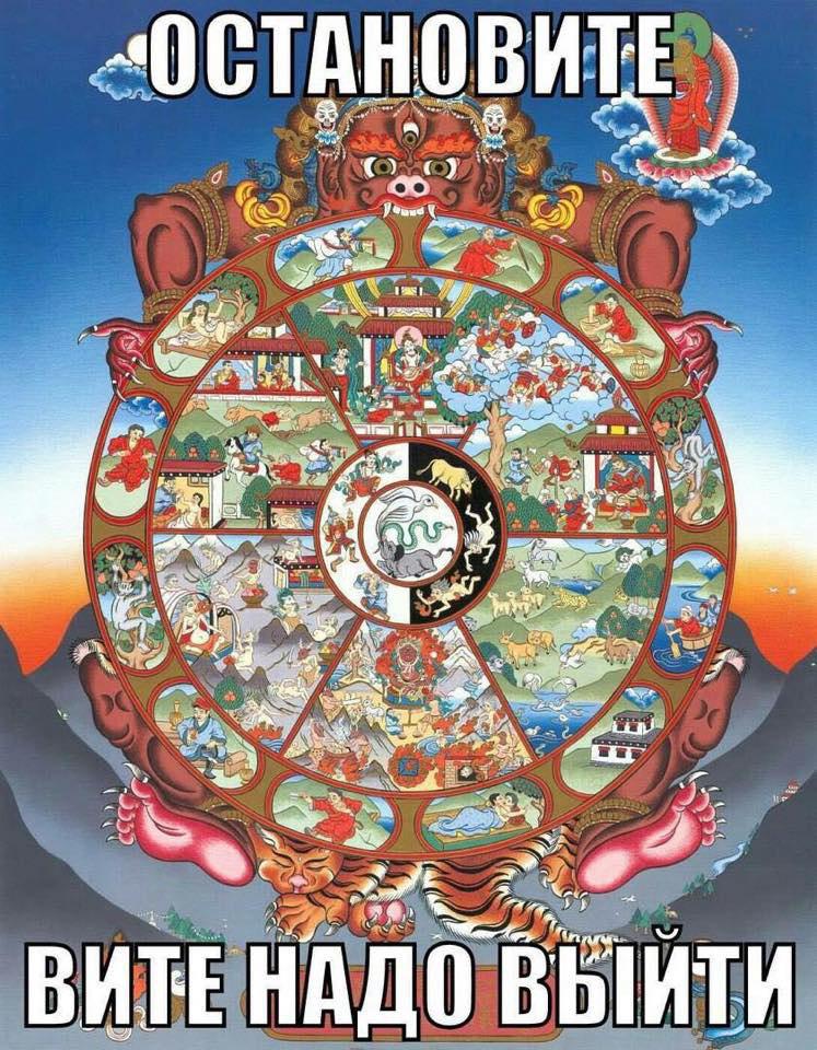 photo_2017-09-02_12-42-46