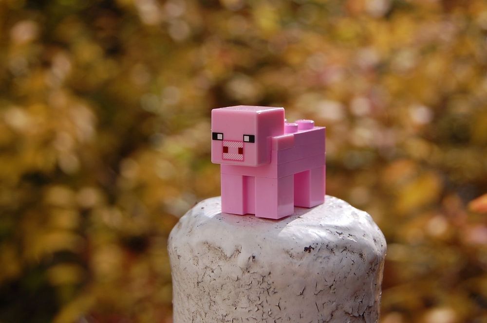 Как создать свой сервер Minecraft