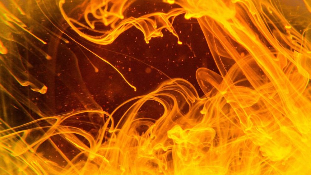 7 сервисов для построения тепловых карт сайта