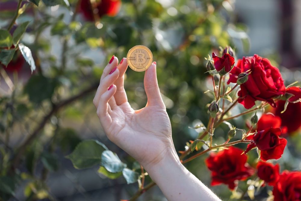 5 лучших приложений для майнинга Bitcoin