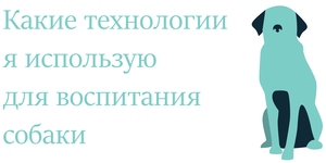 Какие технологии я использую для воспитания собаки