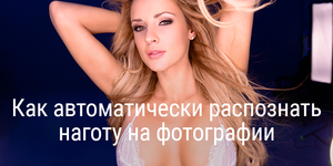 Сиськи или сосиськи? nullNude опредлит автоматически обнаженку на фотографии