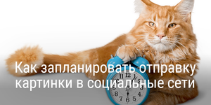 Быстрый совет. Как запланировать отправку картинки из Canva в социальные сети