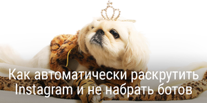 Как автоматически раскрутить Instagram и не набрать ботов