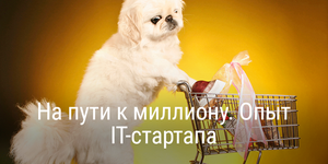 На пути к миллиону. Опыт IT-стартапа