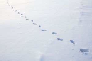 Полезные Android-приложения за декабрь 2018