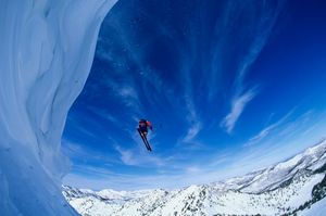 Полезные расширения для Chrome и Firefox за январь 2019