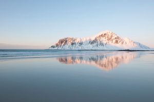 Полезные iOS приложения за январь 2019