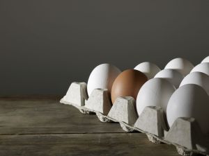 Чем отличается Apple Pay от Google Pay?