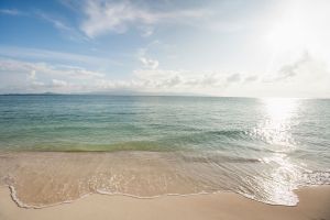 Полезные расширения для Chrome и Firefox за июнь 2019