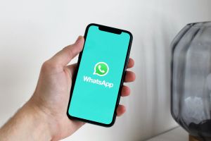 Как открыть файл бэкапа WhatsApp из Google Drive на компьютере
