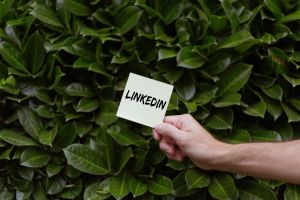 Топ-9 инструментов для аналитики LinkedIn
