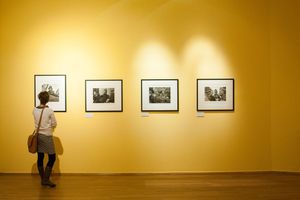 10 альтернатив Picasa