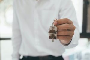 Сервисы и сайты бесплатных объявлений, помогающие при продаже и покупке земельного участка