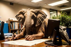 Лучшие решения для создания субтитров