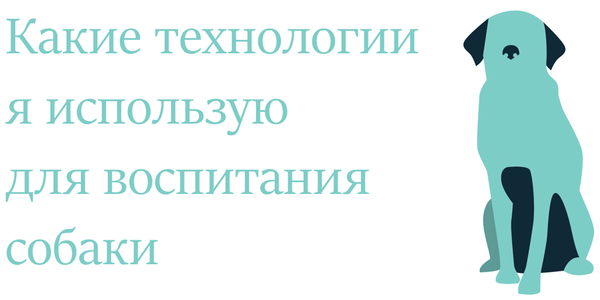 Какие технологии я использую для воспитания собаки