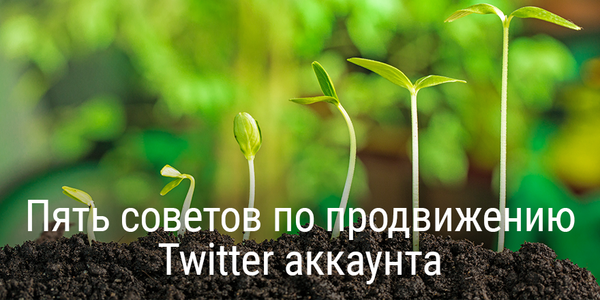 Пять советов по продвижению Twitter аккаунта