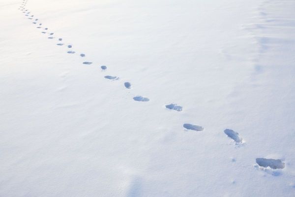 Полезные Android-приложения за декабрь 2018