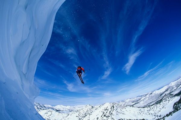 Полезные расширения для Chrome и Firefox за январь 2019