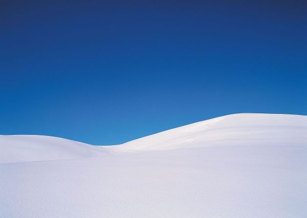 8 интересных Телеграм каналов