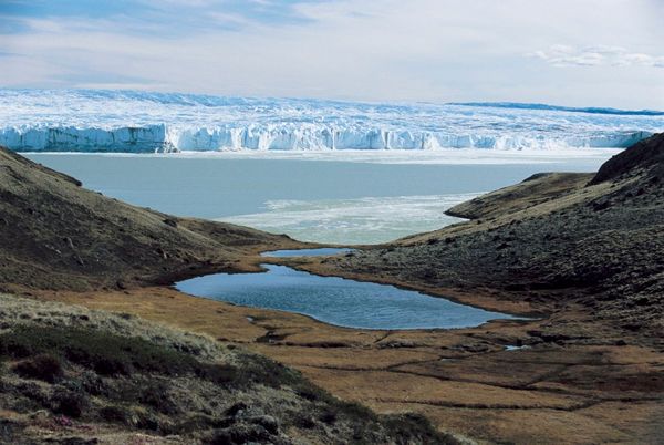 Полезные веб-сервисы за март 2019