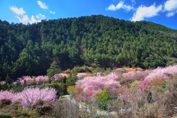 Полезные расширения для Chrome и Firefox за апрель 2019