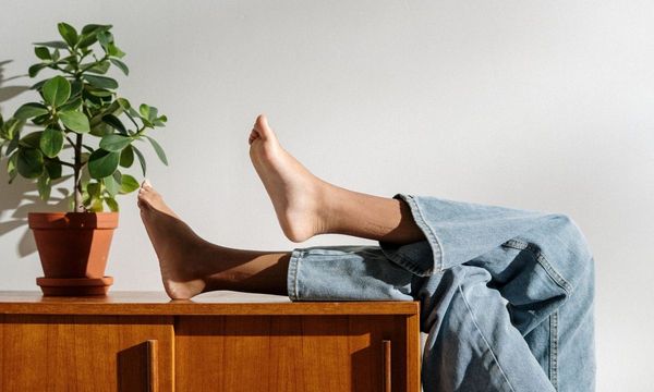 Как не забыть полить растения вовремя