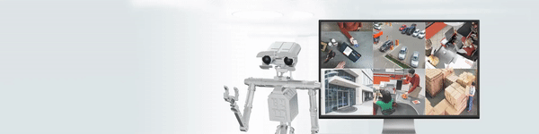 СБИС: Умное видеонаблюдение решает даже самые необычные задачи