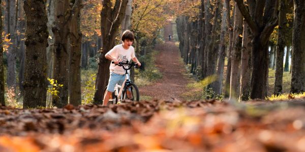 5 полезных приложений для велосипедистов