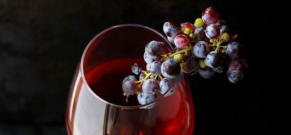 4 Android-приложения для любителей вина