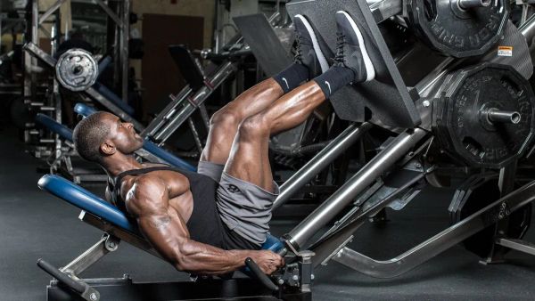 Почему тренировка ног считается важнейшей в силовом тренинге