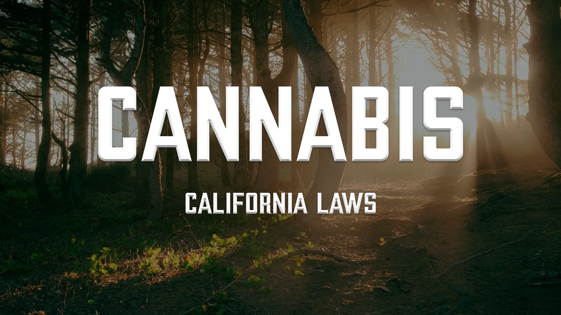 California Cannabis Law