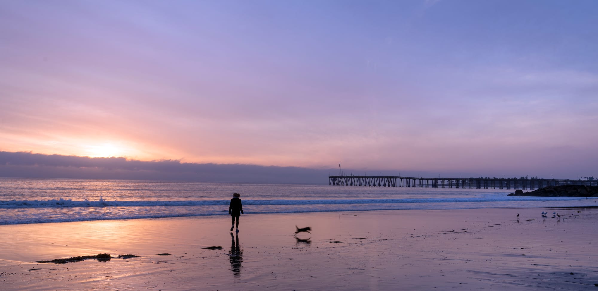 Visiting California State Parks With Your Dog.