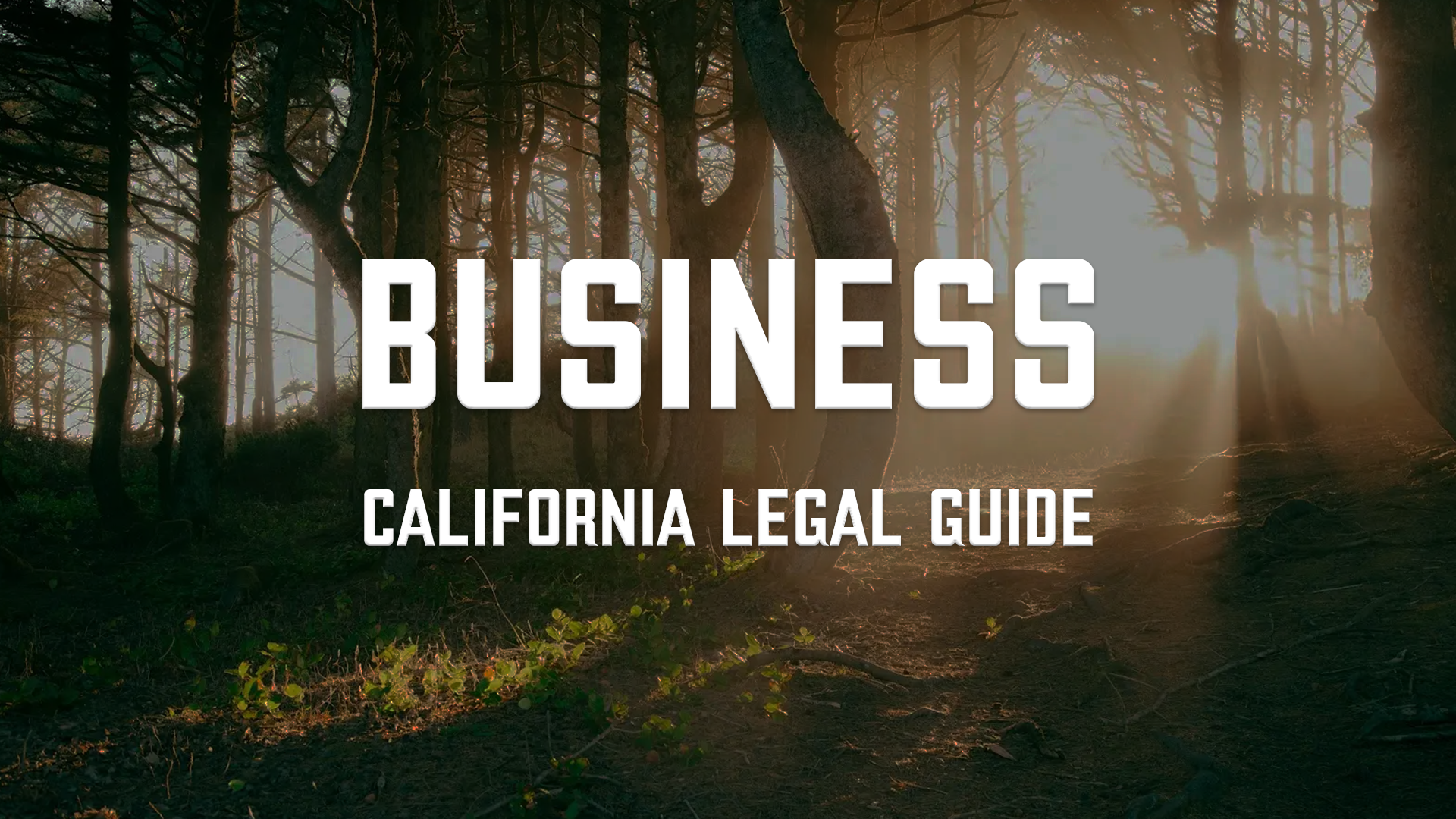 California Business and Professions Code Overview.