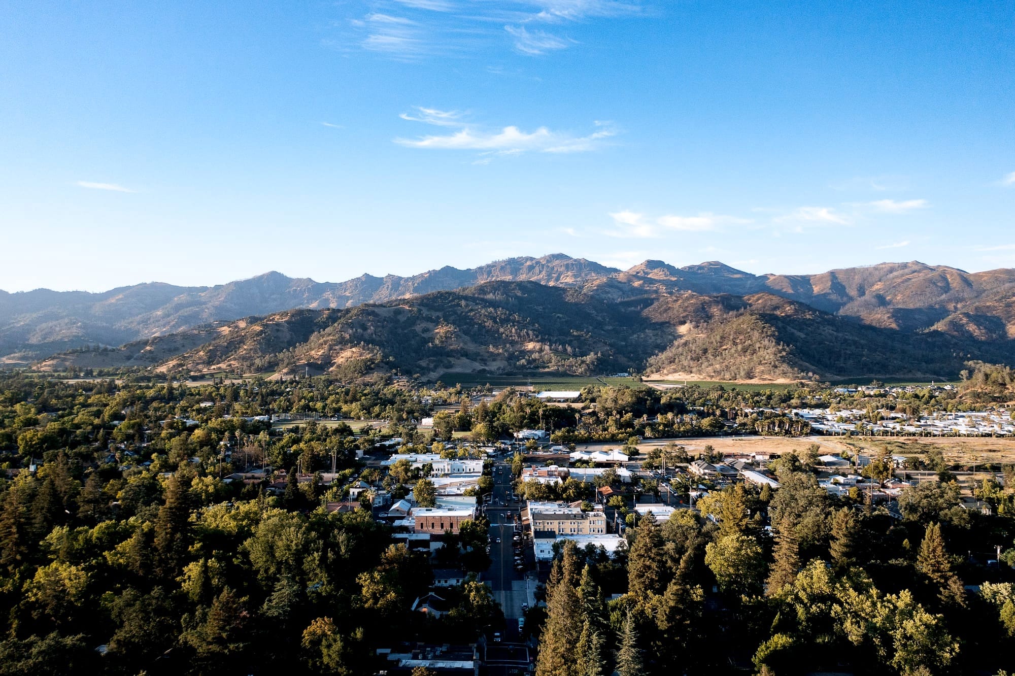 How to Use the California School District Organization Handbook.