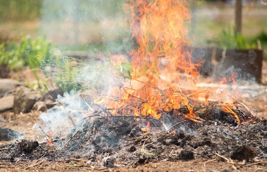 California burn permit rules for summer 2025..