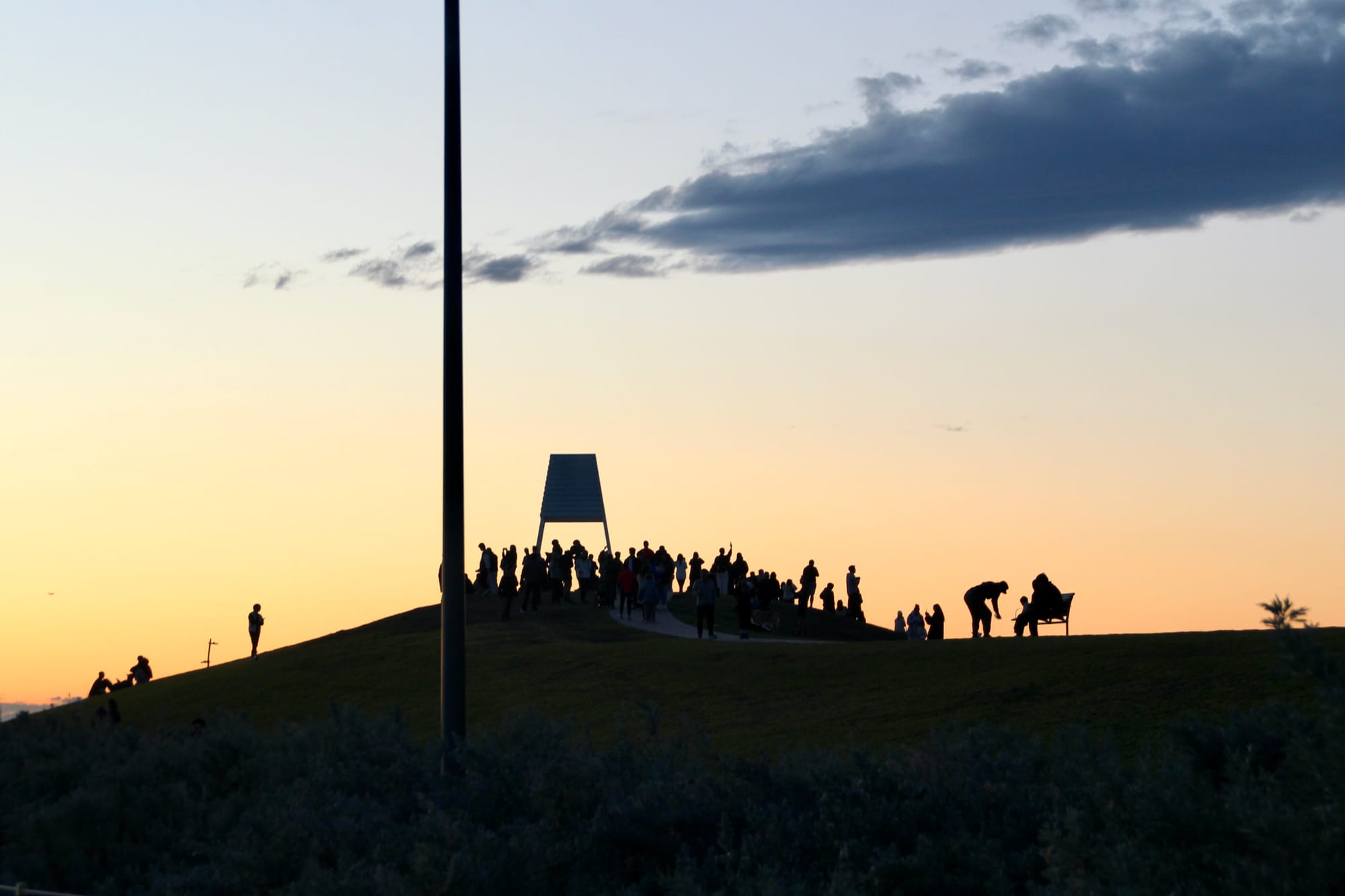 Medi-Cal Member Advisory Committee Evaluation.