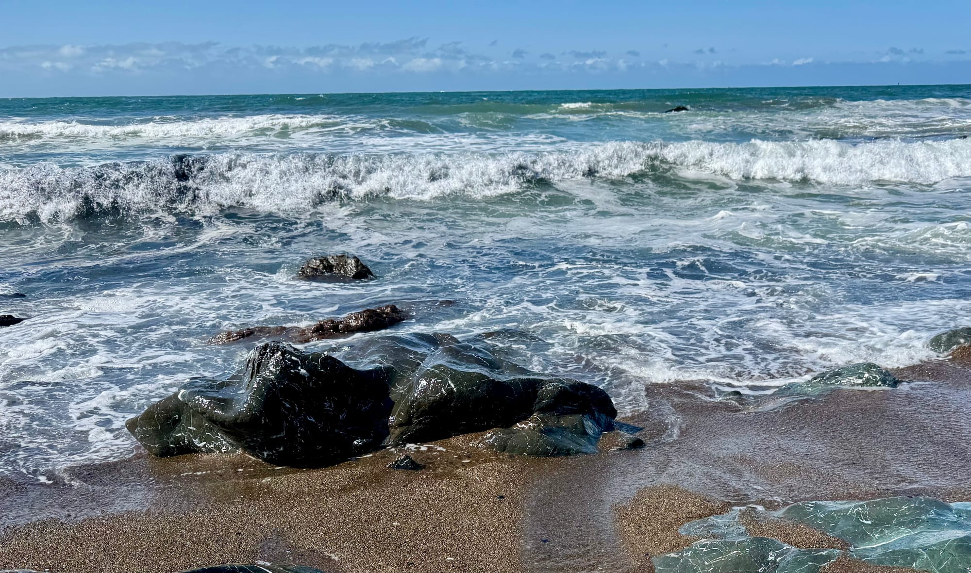 California King Tides 2026.