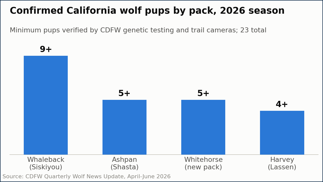 Confirmed California wolf pups by pack in 2026, led by the Whaleback pack with nine.