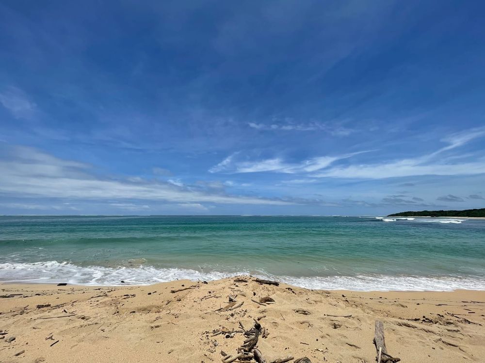 Central California’s top 5 secret beaches (2026) post image