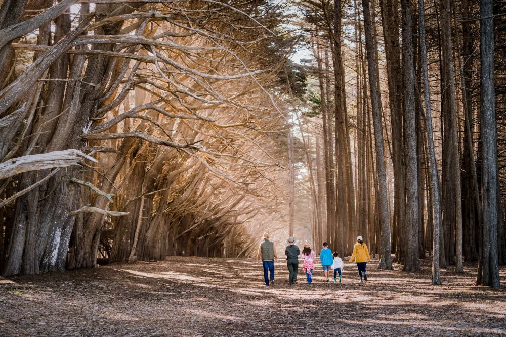 Which life events qualify for California Paid Family Leave? Bonding, caregiving, and military assist explained post image