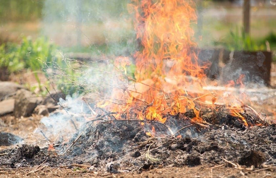 Planning to burn dead vegetation this summer? Here's what to know about California burn permits in 2025 post image