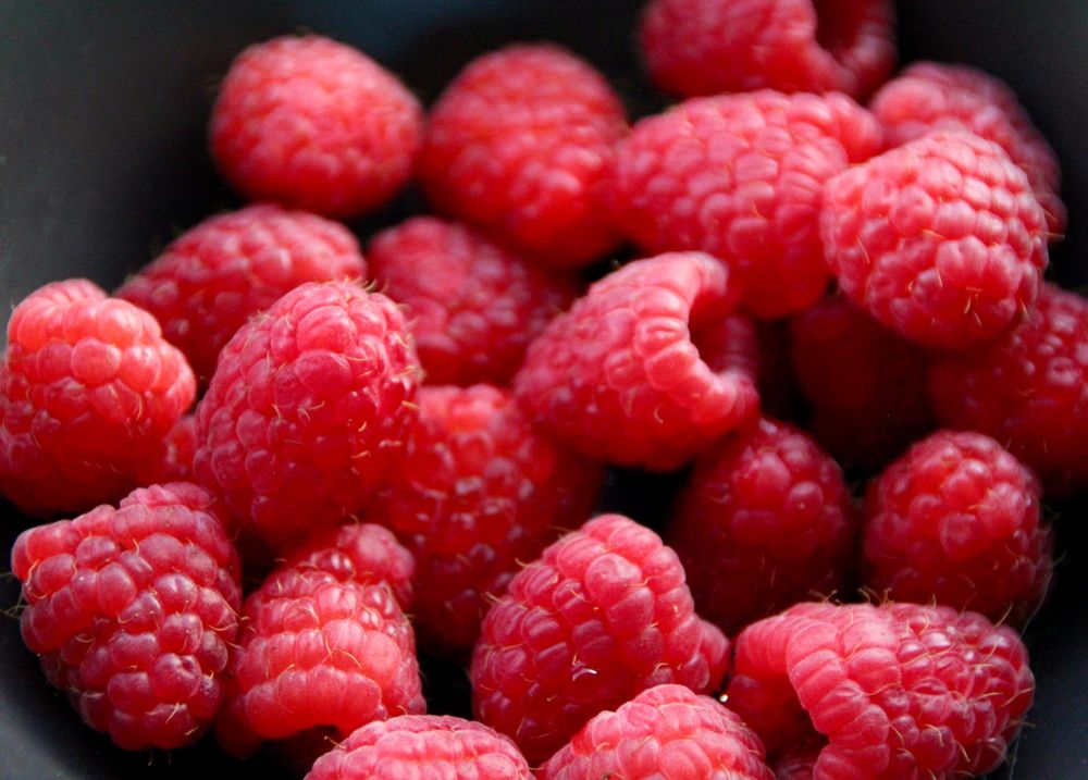 Ultra-processed foods in California schools: What to know about the upcoming crackdown post image