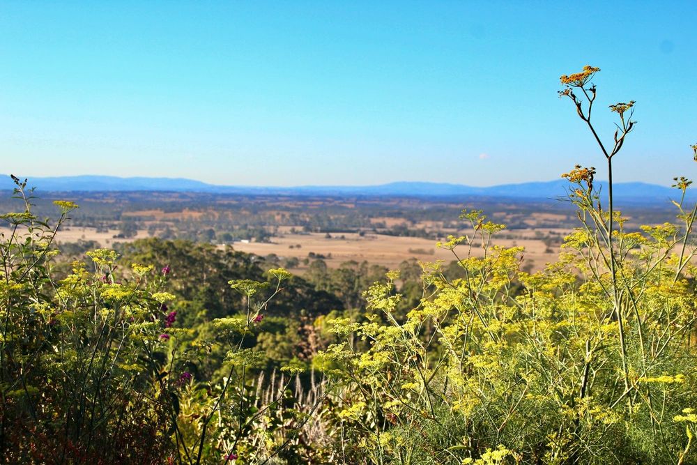 Dangerous heat wave to hit Northern California: Check live temperatures and heat risk maps through June 1 post image