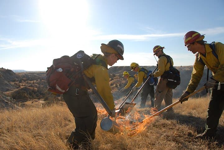 How to burn debris safely in California: Official guidelines and regulations for 2025 post image
