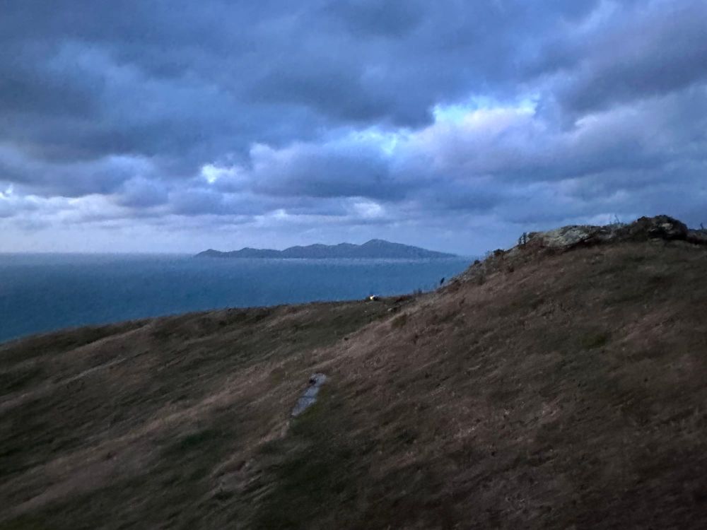 California’s latest Cap-and-Trade auction raises $50+ billion for climate credits and clean energy post image