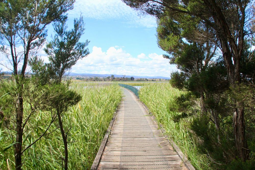 California employers’ guide to the Work Opportunity Tax Credit (WOTC) post image