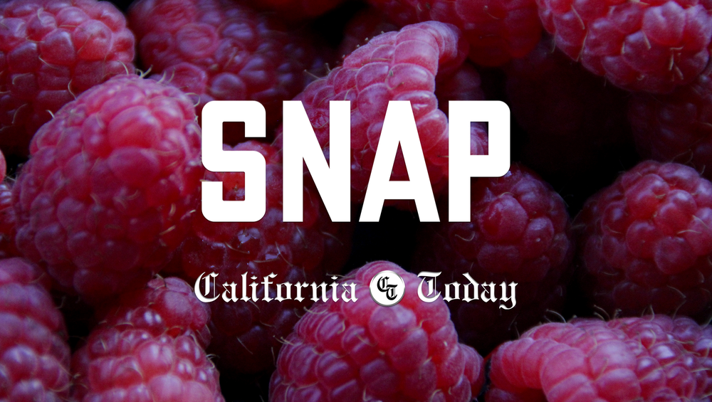 FY 2026 SNAP benefits: Updated work requirements, caps, and federal funding under Trump post image