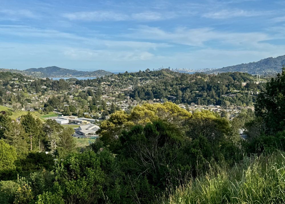 Rent increases in CA cities without price caps: Updated rules and regulations for 2026 post image